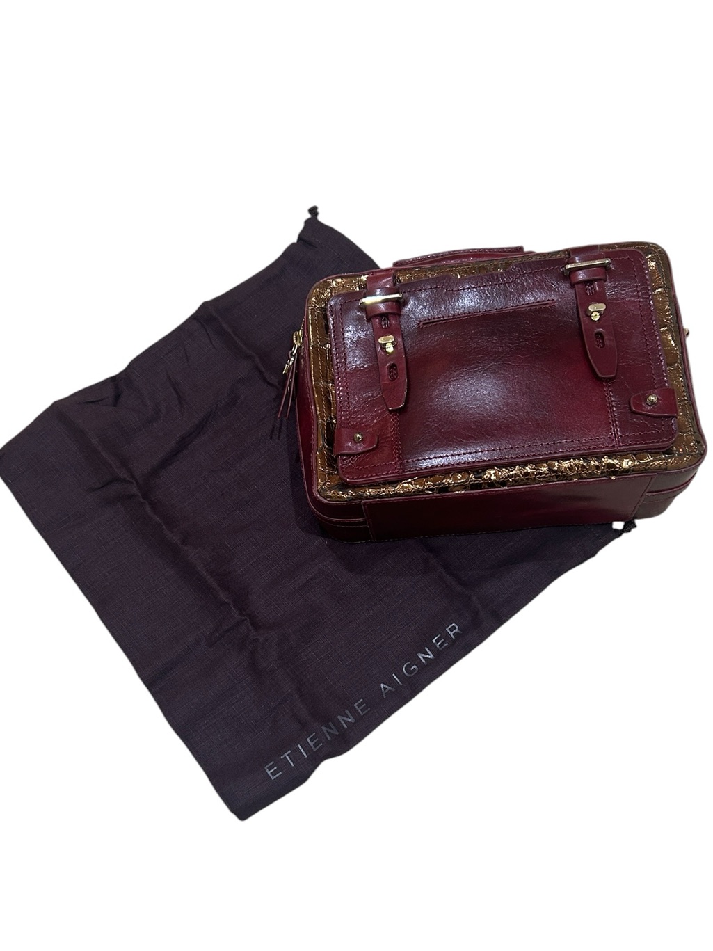 Etienne Aigner Maroon Leather & Croc Embossed Rectangular Top Hand Satchel